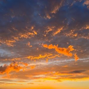 Meet your Posher, Laila